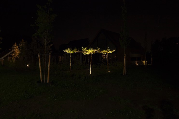 Tuin in het donker, Zie bijschrift onder de afbeelding